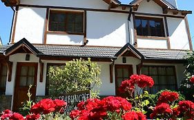 Cabañas Trabunche